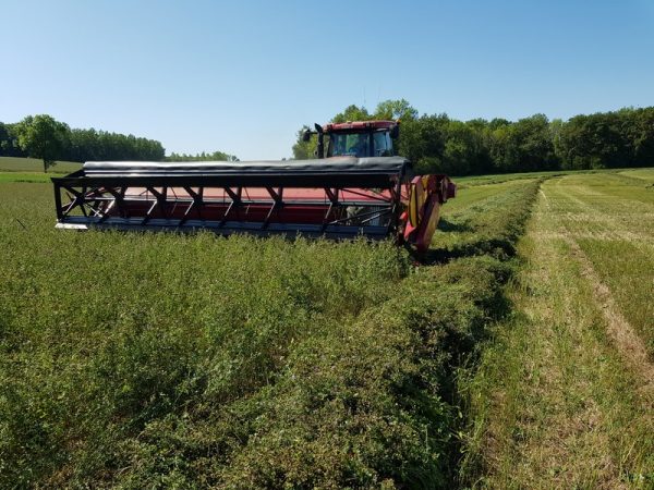 coupe a tapis pour andainer